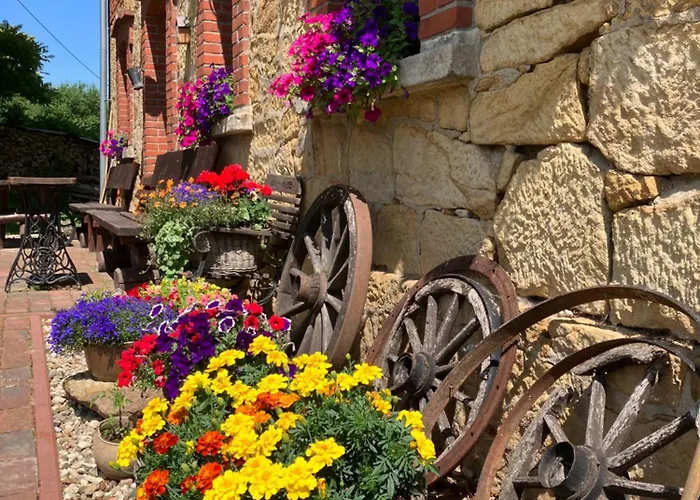 Agrohippika Farma Kondratów